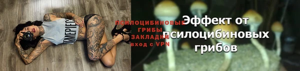 трава Инсар